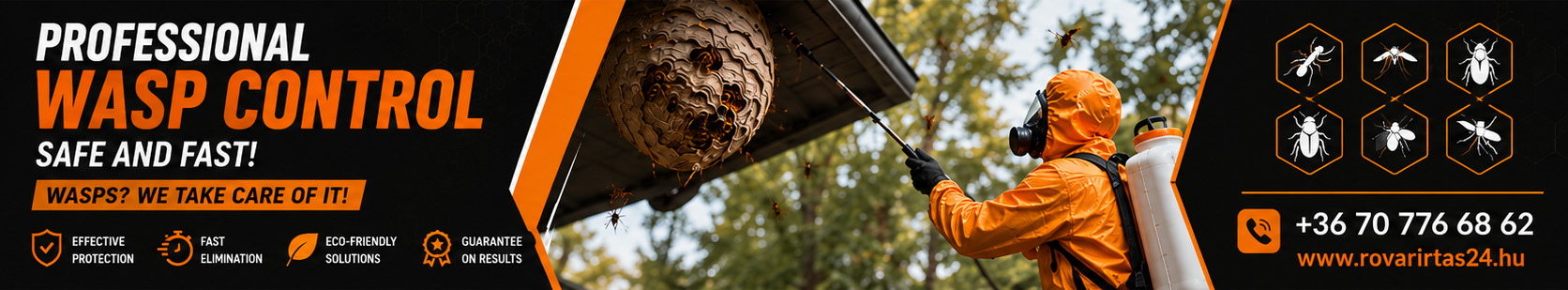 Professional wasp control, safely and quickly – wasp nest? Don't take the risk!