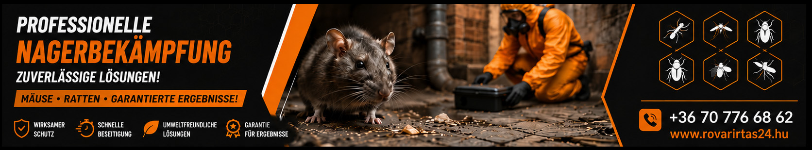 Professionelle Nagetierbekämpfung – gegen Mäuse und Ratten, zuverlässig