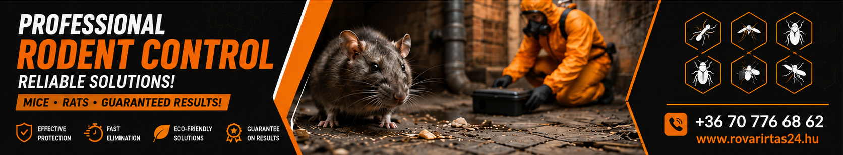 Professional rodent control – against mice and rats, reliably