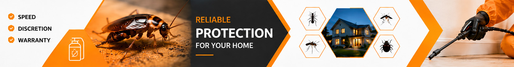 InsectPRO – fast call-out, discretion and a guarantee of quality
