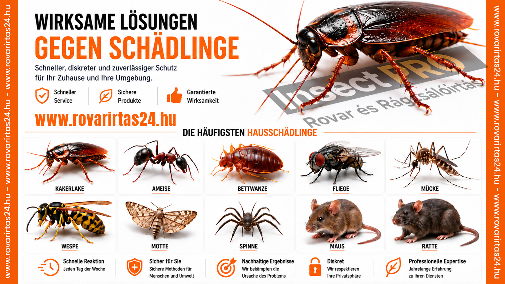 InsectPRO – schneller Einsatz und zuverlässige Lösungen