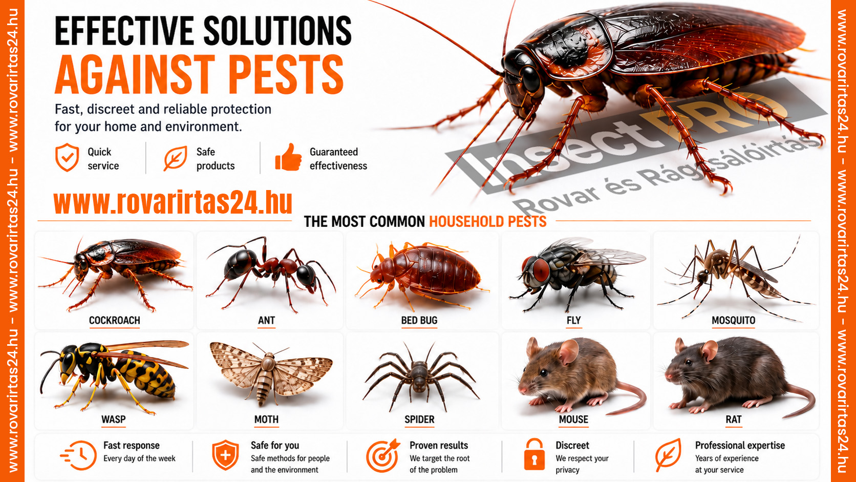 InsectPRO – fast call-out and reliable solutions