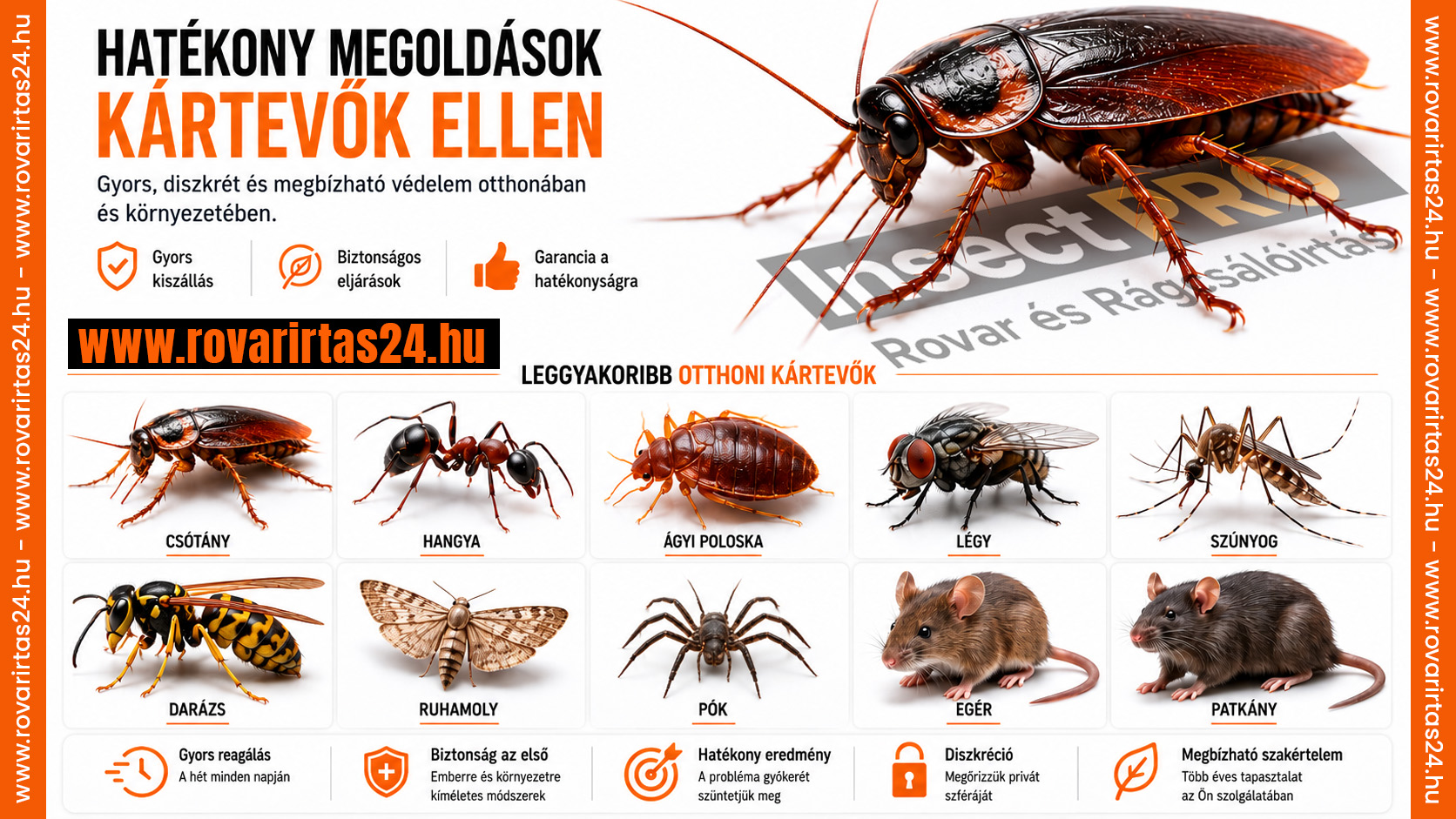 InsectPRO – gyors kiszállás és megbízható megoldások